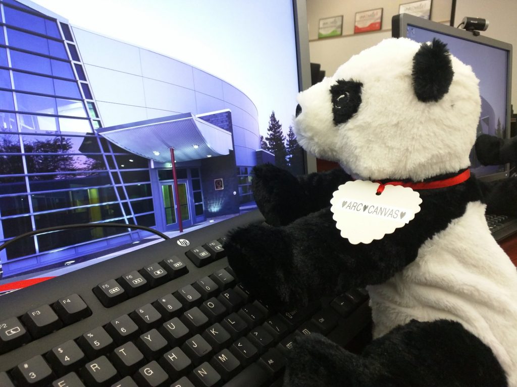 Panda working at ITC Training Room computer