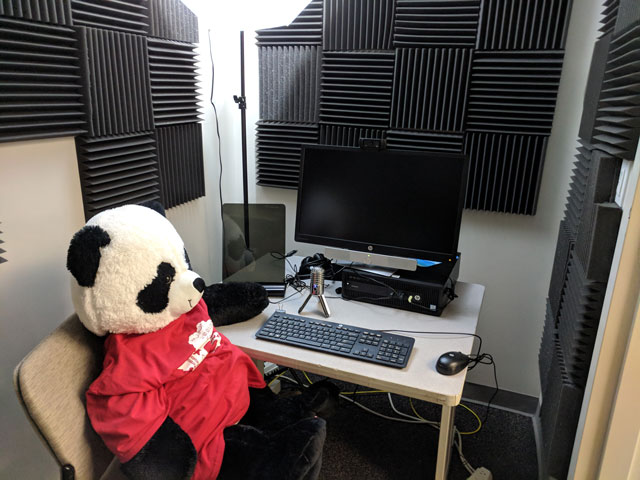 Panda-In-Video-Room